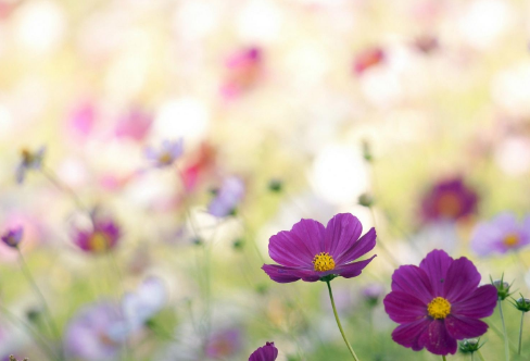 1710066071418482.png image.png