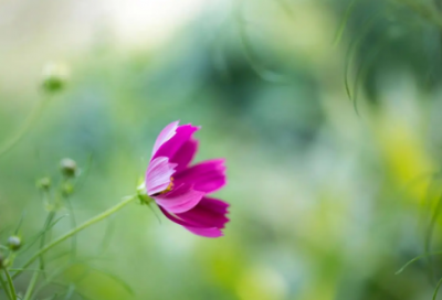 ​五分钟演讲稿（竞聘演讲稿三到五分钟）