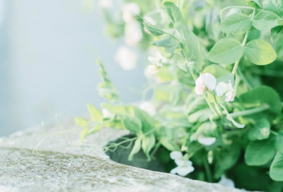 ​十九届五中全会心得体会，领会党的会议精神