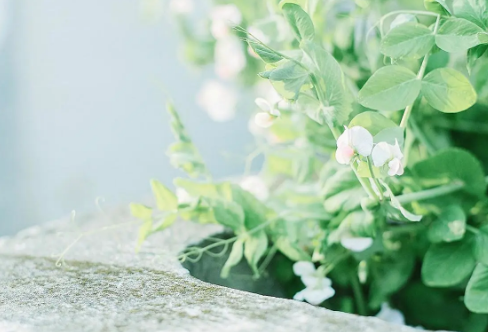 1710066410257690.png image.png