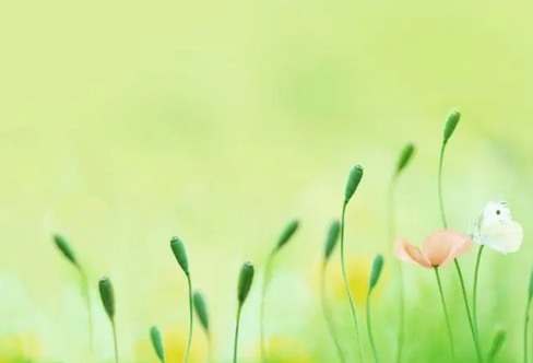 1710066579930570.png image.png