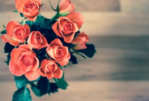 1710066749997880.png image.png