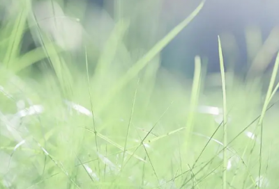 ​一个人的朝圣好书欣赏（人生没有白走的路）