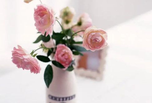 1710067087912515.png image.png