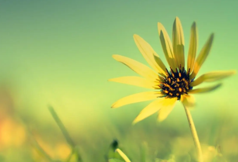 1710067256469541.png image.png