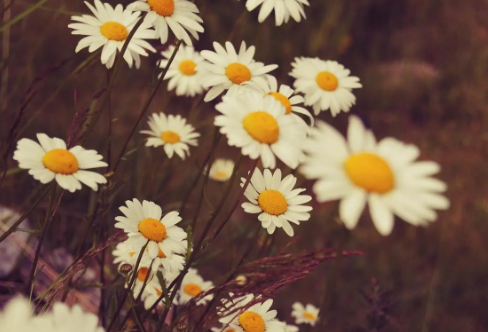 1710068273705679.png image.png