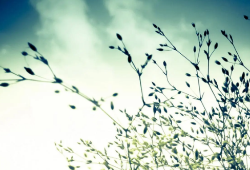 1710068442979724.png image.png