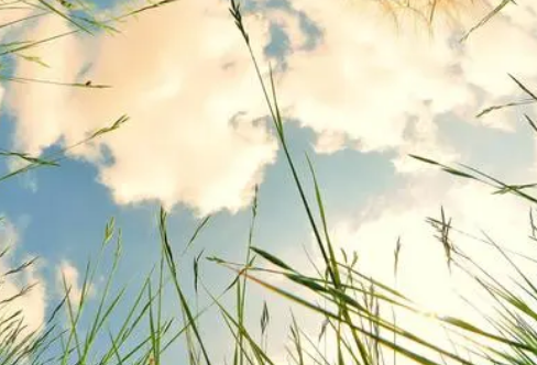 1710068611285111.png image.png