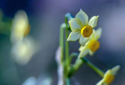 ​海底两万里读后感400字范文6篇，读《海底两万里》有感