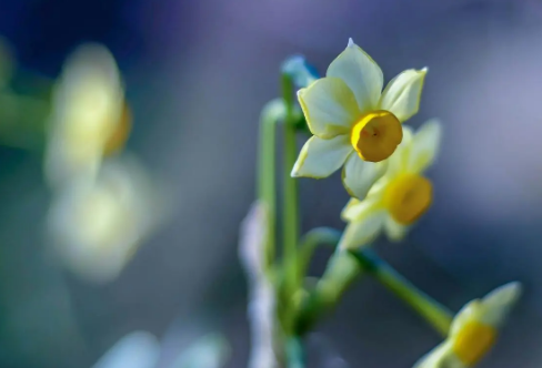 1710068780869630.png image.png