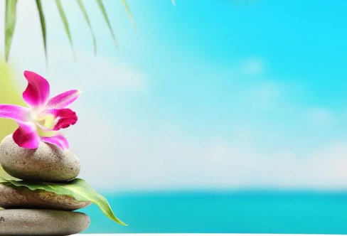 1710068949484345.png image.png