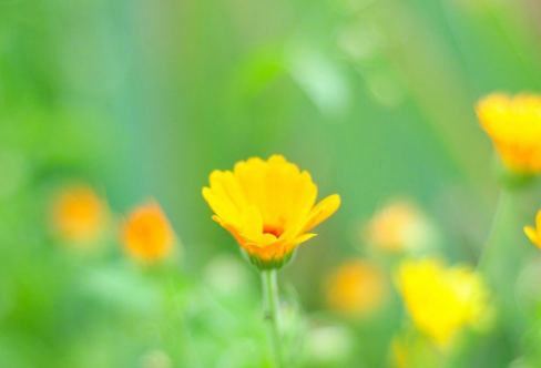 1710069288228133.png image.png