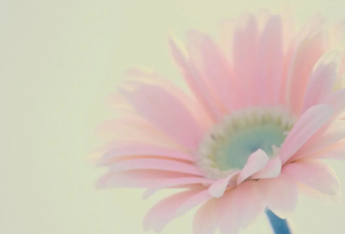 1710069457898867.png image.png