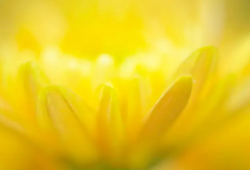 1710069965787004.png image.png