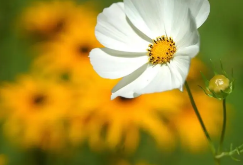 1710070145878571.png image.png