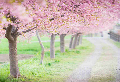 1710070642372434.png image.png