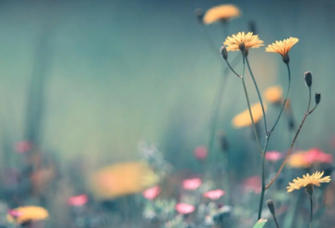 1710070812204123.png image.png