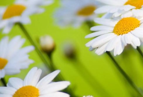 1710071150924014.png image.png