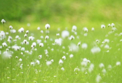 1710071659502118.png image.png