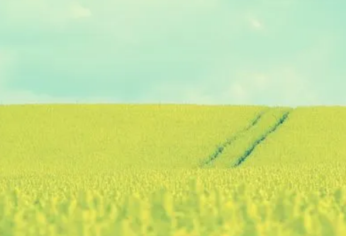 1710071828105980.png image.png