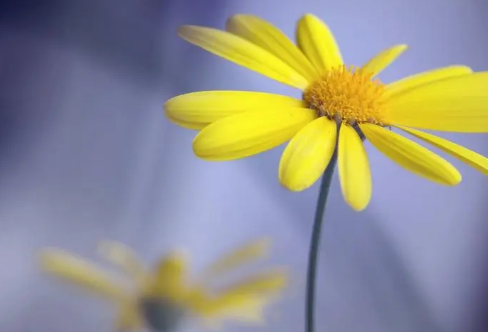 1710071997795921.png image.png