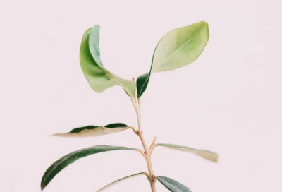 ​三国演义读书笔记（精选5篇）