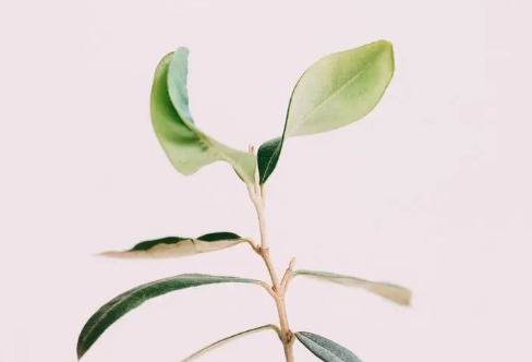 1710072166704421.png image.png