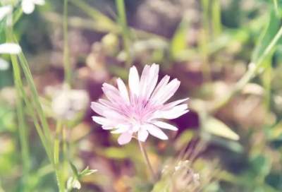 ​卧薪尝胆的故事，努力终究会有收获