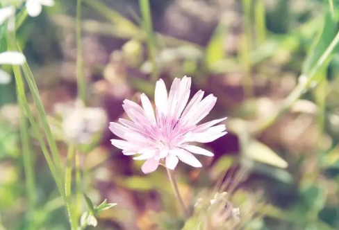 1710072505750450.png image.png