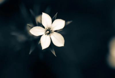 ​银行工作心得（银行柜员工作个人心得体会3篇）