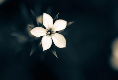 1710072675504603.png image.png