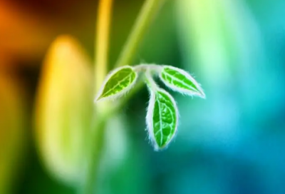 ​礼仪培训心得（员工礼仪培训心得范文3篇）