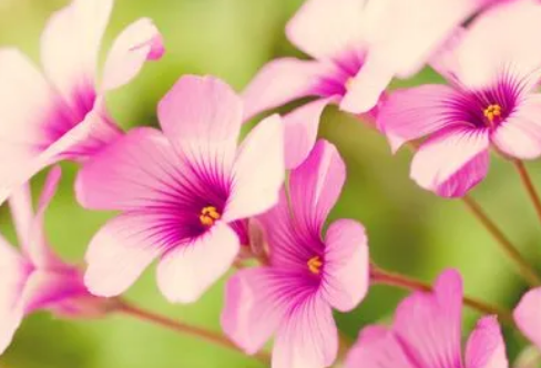 1710073014470936.png image.png