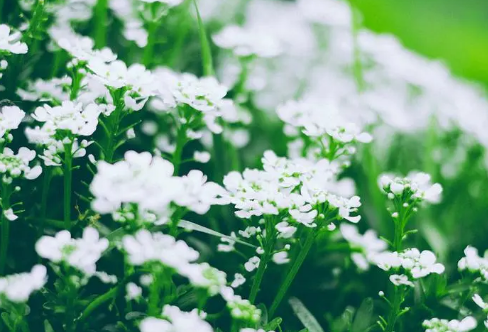 1710073183979654.png image.png