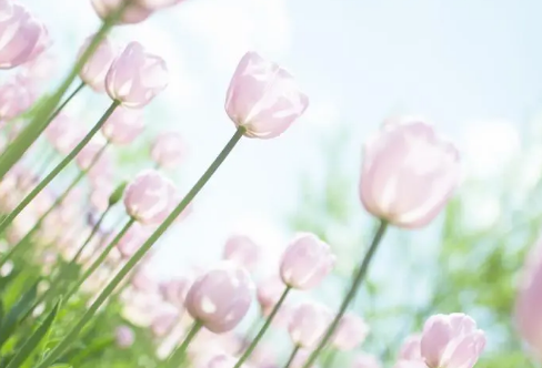 1710073353830104.png image.png