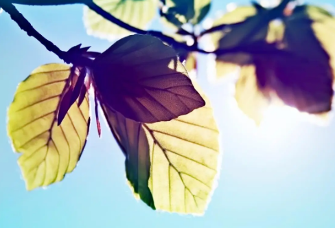 1710073862302121.png image.png