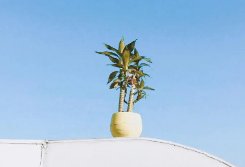 1710074031152158.png image.png