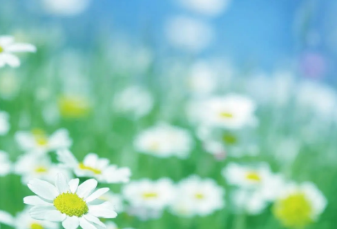 1710074200248124.png image.png