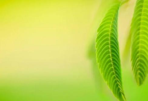 1710074370220460.png image.png