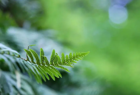 1710074708963961.png image.png