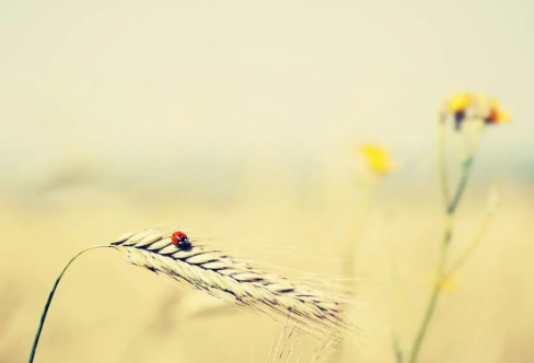 1710074877841654.png image.png