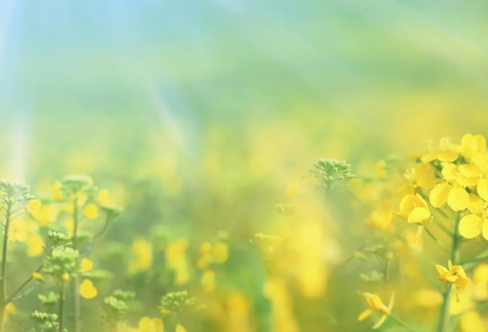 1710075047784966.png image.png