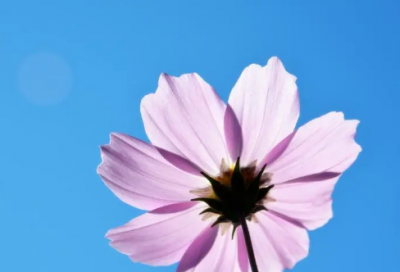 ​读三个火枪手，一定要了解的3句话