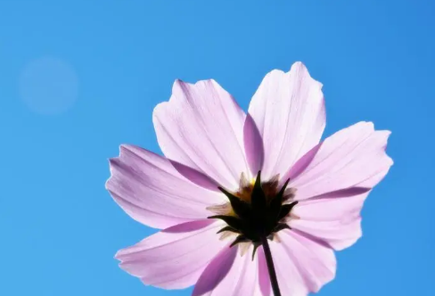 1710075386784440.png image.png