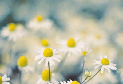 ​东野圭吾最好的八本小说，东野圭吾笔下最经典的10句话