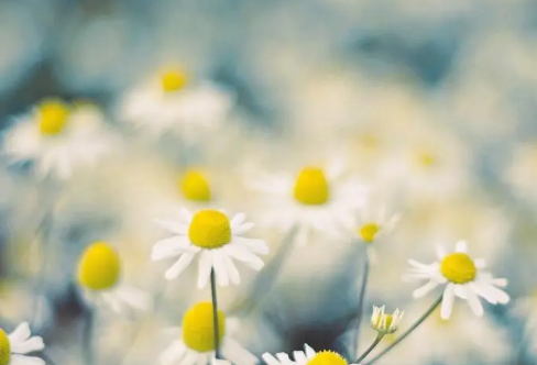 1710075555263136.png image.png