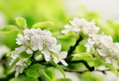 ​城南旧事读后感4篇（英子的故事）