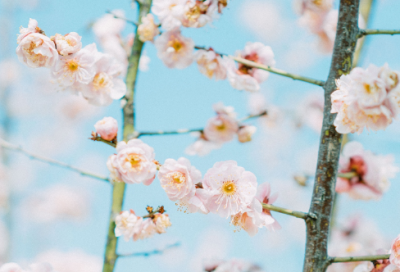 ​销售实习周记（8周  通用版）