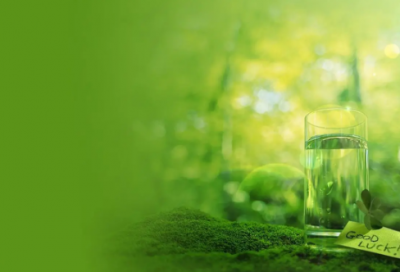 ​假如给我三天光明主要内容和节选