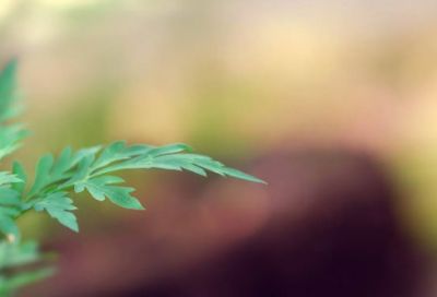 ​沉思录读后感（人生最高级的活法，是向内走）